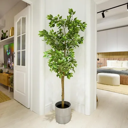 Apartment Modern Symphony - Stunning